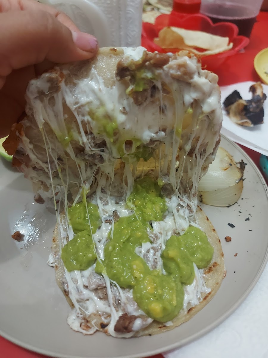 Taqueria Don Javi (El Oasis)